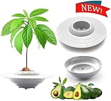 tEEZErshop Avocado Pflanzschale Kit(mit Unterseite Platte),Das Beste Garten Samen Starter Geschenke fuer Freundin MaMa kinder,Pflanzen Sie Ihren Eigenen Avocadobaum(Samen NICHT enthalten)