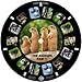 MayKo Zoo Animal Reels for Viewfinder Compatible with Viewmaster and Image3D Viewers. Set of 3 (Reels Only)