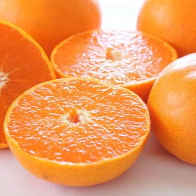 [愛媛・八幡浜柑橘詰合せ]よくばり2箱セット(せとか・しらぬひの2品種)(C28-38)