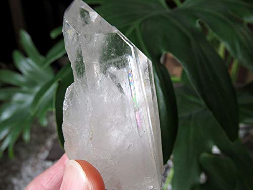 Amazon.co.jp: モンドクォーツ タンザニア産水晶原石の通販/販売