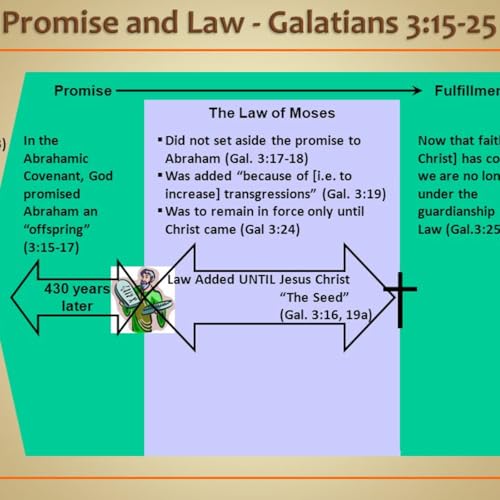 Page de couverture de Episode 261: Gal. 3:15-25, Two Different Purposes by God, 7.13.25