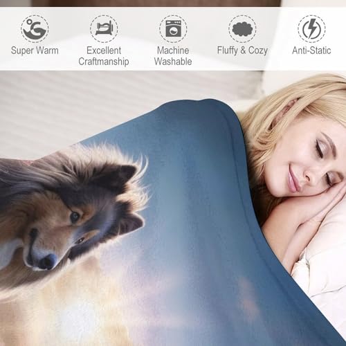 Couverture canapé chien mignon : la solution contre le froid pour des nuits douces à la maison - 4