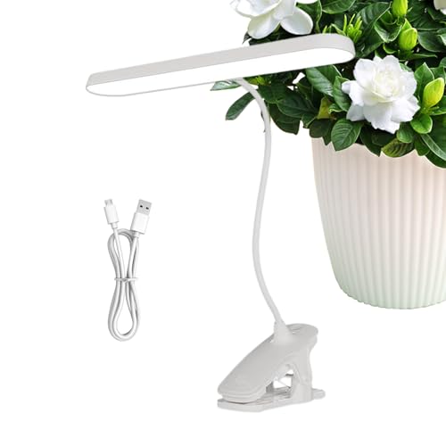 Luz de lectura con clip, dispositivo de iluminación de habitación, luz de escritorio con abrazadera, para lectores, músicos, banco de trabajo, soporte de música, cabecero, taller, dormitorios