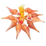 POPETPOP 10個 螺角口哨 安定素材製 屋内装飾兼用ホイッスル 携帯便利なコンパクト 家イベント用穏やかな音色 旅行記念品に