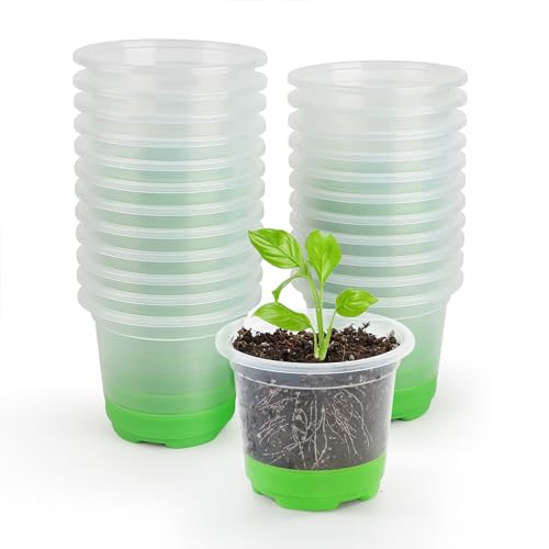 MIXC Anzuchttöpfe 24 Stück 10cm Pflanztöpfe Transparent mit...