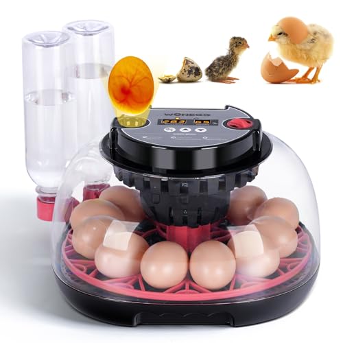 Brutkästen für Bruteier 12 Eierbrüter mit Automatischer Eierwende und Feuchtigkeitsregulierung, Eierständer, Automatische Wassernachfüllung für Hühnerwachteln, Enten, Truthähne, Papageien, Gänseeier