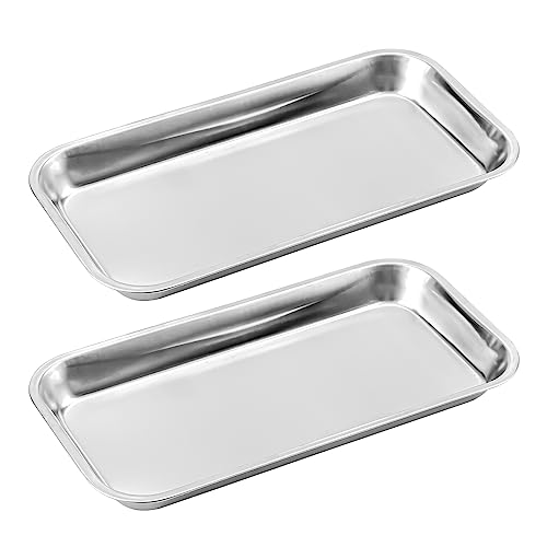 2 Pièces Plateau INOX Plateau à Instruments Plateaux Rectangulaires en Acier Inoxydable Plateau...