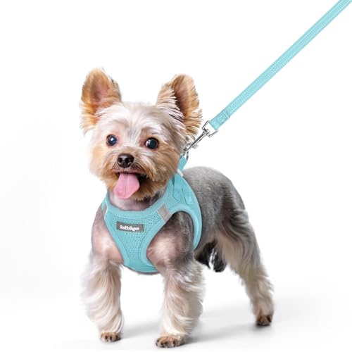 Image of rabbitgoo Dog Harness Small Sized and Leash Set, Step-in Puppy Pet Vest