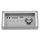 4 botones, amplificador de 10 W (2 * 5 W) con AUX, FM, USB, SD y Bluetooth