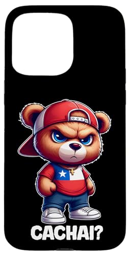 CACHAI ` ` efBxÃjtH[ X}zP[X iPhone 15 Pro Max p