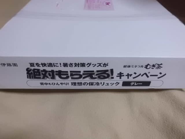 Amazon Co Jp 伊藤園 絶対もらえる 理想の保冷リュック グレー ホーム キッチン