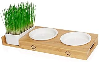 Pfotenolymp® Karmnik z trawą dla kotów  miska dla kotów/miska na karmę z porcelany  podwyższony zestaw misek z miską z trawy  wysoka miska do karmienia