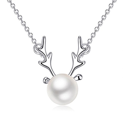 BGTY S925 - Joyería para Animales (Plata de Ley)