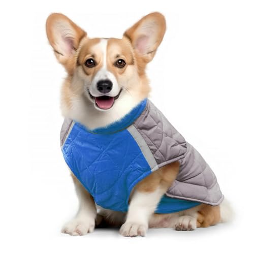 IUOUTG ~xXgR[ghgybgtOxXgAEghAWPbg DOƃtbN[vt߉\Ȕˎq̈ߑ^^p