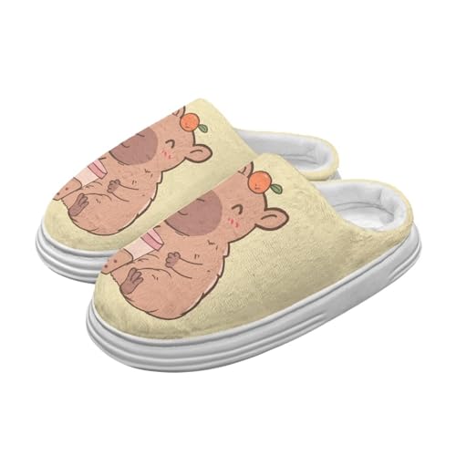 Thick Sole Memory Foam Cozy Warm Platform Slippers for Women Casual House Slippers Indoor Outdoor