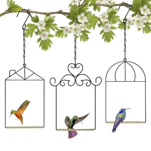 XYADX Metal Frame Hummingbird Swings and Perches with Wooden Dowel Black Bird Swing Outdoor Bird Perch Humming Bird Swing (3PK Different)