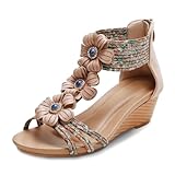 WOJWSKI Wedge Sandals for Women Bohemia Flower Open Toe Roman Low Heel Zipper Back Platform Summer Dress Women's Beach Sandals（Apricot3-M8.5）