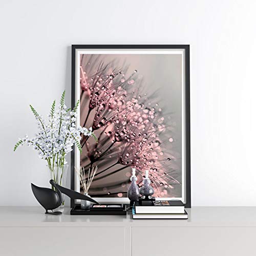 Toile pissenlit rosée affiche plante fleurs nature tableau moderne 50x70