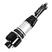 RADHLBNIU Front Left Air Suspension Strut Shock Absorber for Mercedes-Benz 2-MATIC Airmatic W211 E-CLASS E320 E350 E500 E550 2003-2009 for C219 CLS500 CLS550 2005-2011 Replaces# 2113205513 2113209313