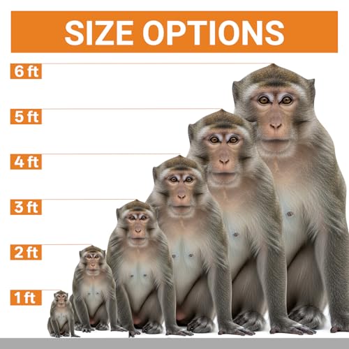 Image of Monkey 4FT Life Size Cardboard Cutout, Fun Animal Standup, 1 PC | Fun Animal Standup Cardboard Cutout for Events, Party Decorations, Birthday Parties, Photo Shoots, Home & Office Decor.