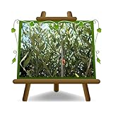 EURO PLANTS VIVAI