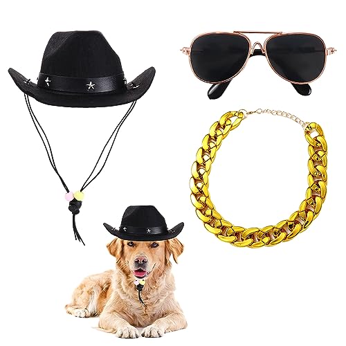 Set de 3 piezas disfraz mascota perro gato