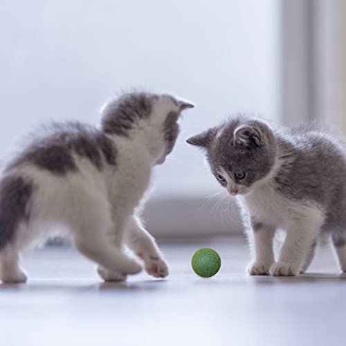 Bola de erva de gato – Brinquedos de bola para gatinhos | Brinquedo de mastigar para limpeza de dent