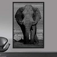 Framed Canvas Wall Art Duotone Elephants Animals Black and White Bohemian Duotone Elephants Expressive Grey Living Room Photography - 16x24 inches