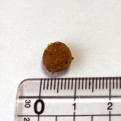 animonda INTEGRA PROTECT Katzenfutter Renal (Niere) (1 x 300g), v von Veterinären empfohlen bei Niereninsuffizienz, Hochwertiges Diätalleinfutter für erwachsene Katzen