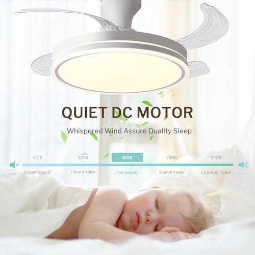 Blancos, Wireless Imagen adicional