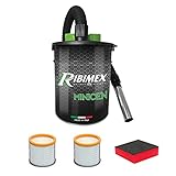 Aspirador de cenizas eléctrico Minicen - 800W de potencia –...