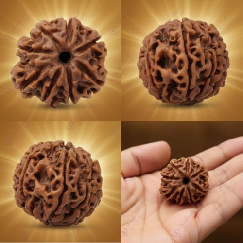Image of Arihant Gems & Jewels 8 Mukhi Faced Rudraksha | Natural & Certified | Astrological Benefits | Positive Energy | Unisex for Men & Women (Nepali Rudraksha)