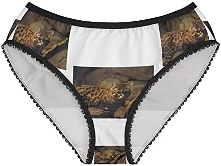SpreadPassion Women's Black-Footed Cat Felis Nigripes Panties, Black-Footed Cat Felis Nigripes Underwear, Briefs