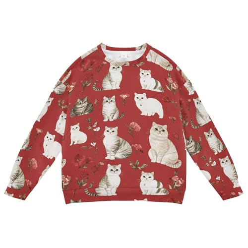 JUNZAN Sweet Scottish Fold Cats Red Kids Boys Sweatshirt Hoodie Crewneck Tops Clothing Shirts Athletic 4T