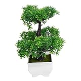 Décoration de plante d'imitation : pas besoin d'arroser et de mettre à l'extérieur pour recevoir le soleil, il suffit de le mettre dans une situation appropriée, ornement de plante d'imitation