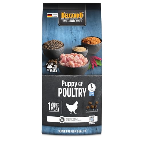 BELCANDO Puppy GF Poultry [1 kg] getreidefreies Welpenfutter | Welpenfutter ohne Getreide | Alleinfuttermittel für Welpen bis 4 Monate
