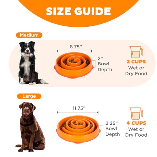 Outward Hound Fun Feeder Slo Bowl - Anti-Schling-Hundenapf für gesundes, langsames Fressen, zum Vorbeugen von Blähungen, mittelgroß/Mini, orange