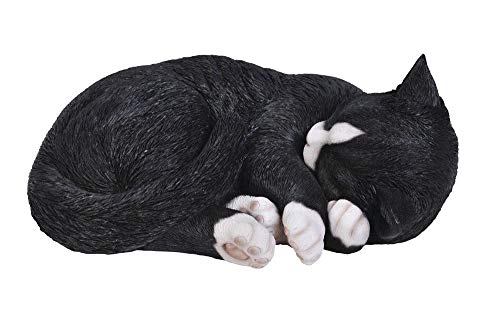 Vivid Arts Real Life Chat Qui Dort Noirblanc Taille B