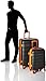 Rockland Melbourne Hardside Expandable Spinner Wheel Luggage, Charcoal, 2 Piece (20/28)