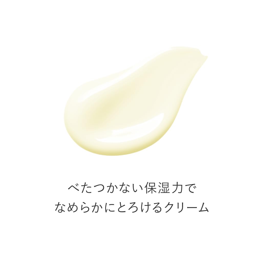 Amazon.co.jp: TOUT VERT トゥヴェール: お買い得セット