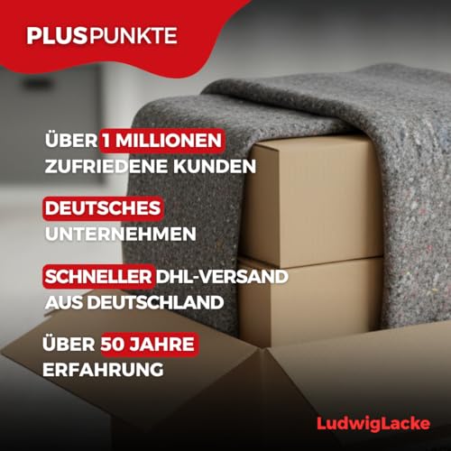 Umzugsdecken [10 Stück à 130 × 200 cm] Malervlies & Möbelschutz Decken für Umzug, Renovierung & Transport [200 g/m²] Schutzdecken für Möbel, Böden & empfindliche Oberflächen [HOHER MÖBELSCHUTZ]