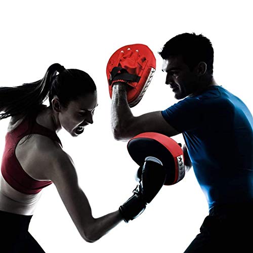 image for LANGING 2Pcs Boxing Focus Pads High Elasticity EVA Non-Toxic Punching 
