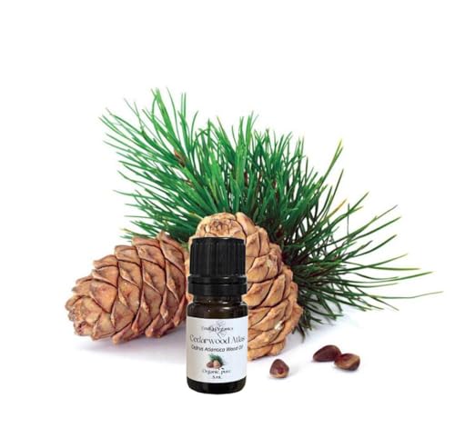 Aceite Esencial Cedro Atlas Orgánico Puro 5 mL miniatura 1