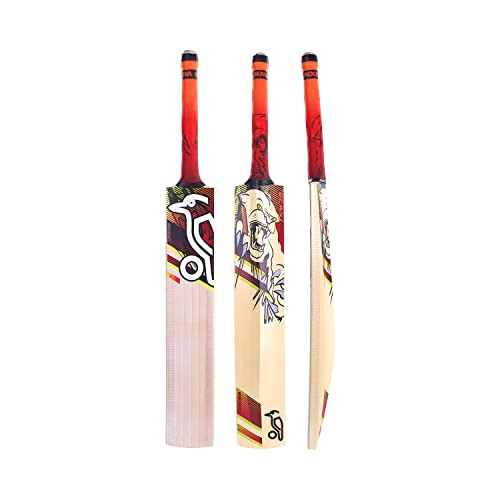 Best Cricket Bat Under £100 (UK Reviews) 2024