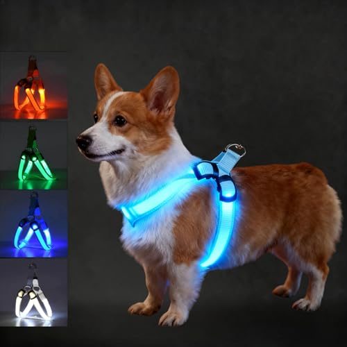 ���p���� ���^��/���^��/��^�� ���錢�p�n�[�l�X ��������h�~ �y�b�g�p�i LED�����\ ���d�r�� �T�C�Y�����\ �����Ȃ� �ʋC�� ���E�ȒP ������� �����p �P�� ���s�⏕ �V���v�� �铹 �U�� ���S-�v����S