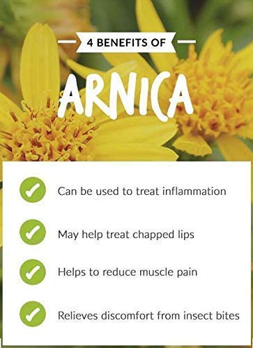 Arnica (Arnica Montana) Therapeutic Essential Oil By Salvia Amber Bottle 100% Natural Uncut Undiluted Pure Cold Pressed Aromatherapy Premium Oil - 15Ml/ 0.5 Fl Oz #TOP2