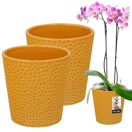 KOTARBAU® 2er Set Blumentopf Senffarbe Keramik glasiert ⌀ 12 cm Höhe: 15 cm Orchideentopf Blumentöpfe Keramik Pflanztopf modern Blumentöpfe Zimmerpflanzen
