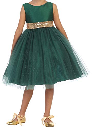 Girl Special Occasion Dress Sleeveless Dupioni Bodice V Sequin Back3