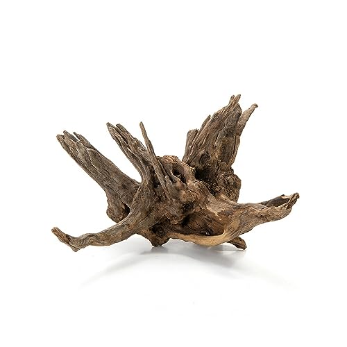 カミハタ 形状お任せ流木 オールドウッド M 約27×21×17cm アクアリウム テラリウム パルダリウム レイアウト