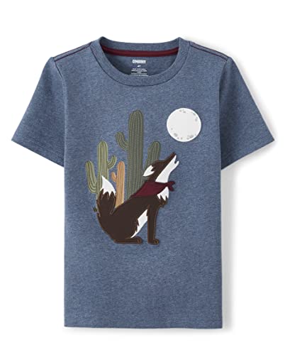 Image of Gymboree Boys and Toddler Embroidered Graphic T-Shirt